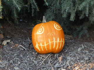 Sad, Nipomo Pumpkin Patch best carving idea
